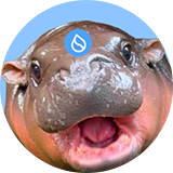 هیپو سادنگ, HIPPO